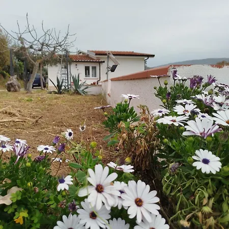 公寓 Tropea - Amphitrite *