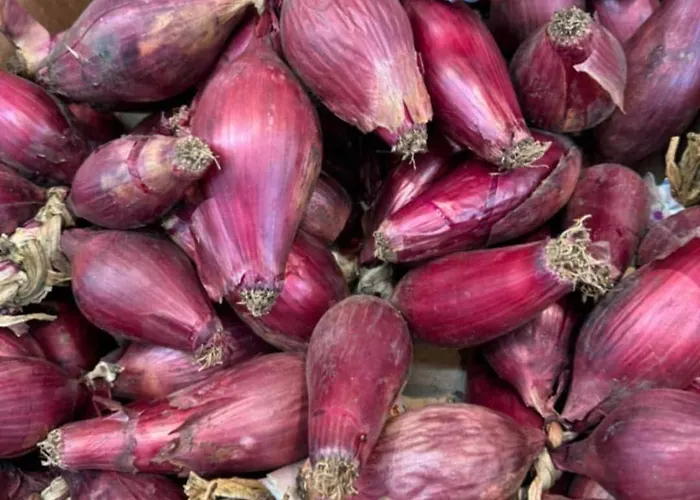 Tropea - Amphitrite 公寓 梵蒂冈角