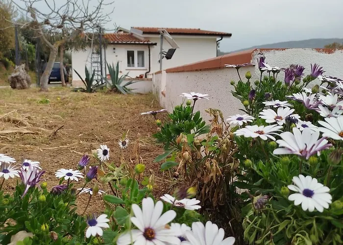 公寓 Tropea - Amphitrite *